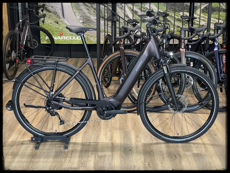 Giant DailyTour E+ 3 LDS D 25km/h Medium Rosewood 2022